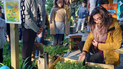 Remise de plants d'aromatiques aux Jardins Potagers de Pomarède (Langoiran)