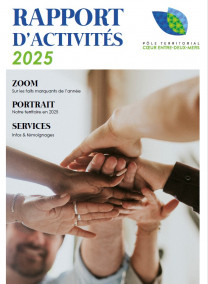 visuel rapport activités 25