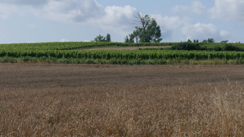 Photo paysage agricole E2M