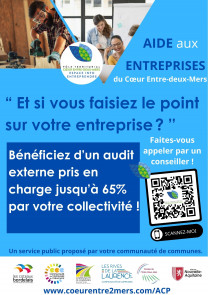 audit entreprise